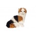 Calico Plush Cat Sitting